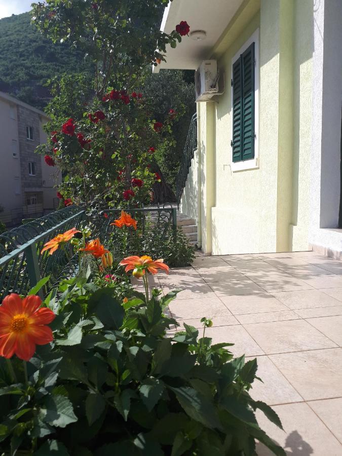 Apartments Simo Petrovac Ngoại thất bức ảnh