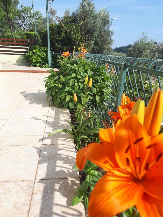 Apartments Simo Petrovac Ngoại thất bức ảnh