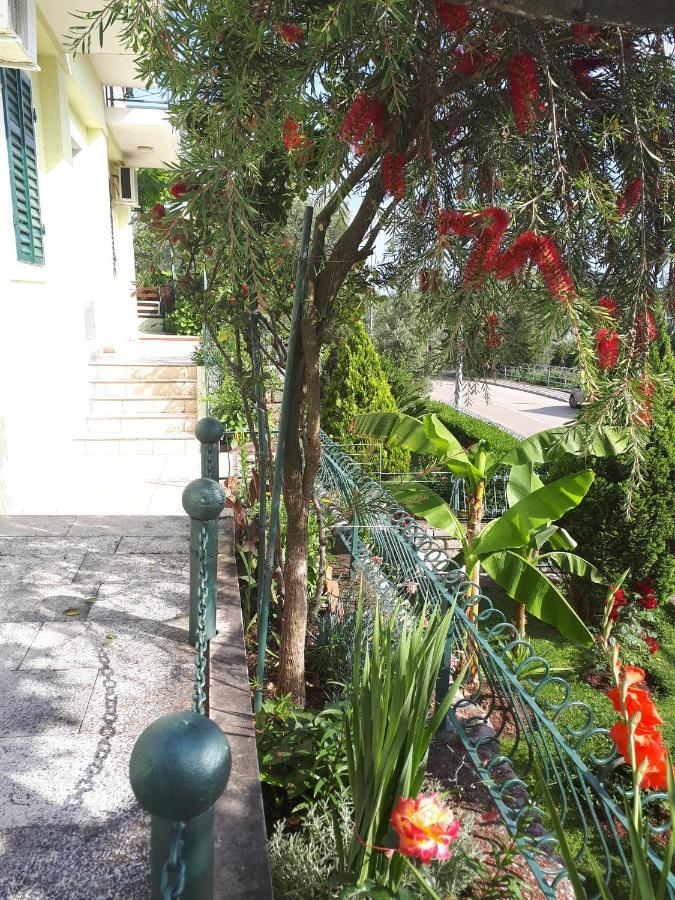 Apartments Simo Petrovac Ngoại thất bức ảnh