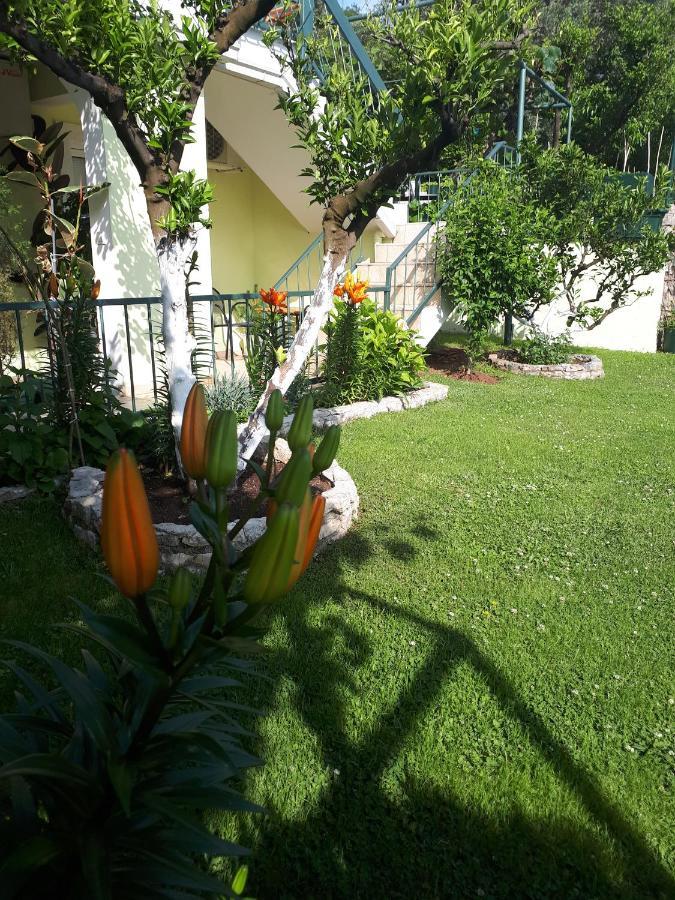Apartments Simo Petrovac Ngoại thất bức ảnh