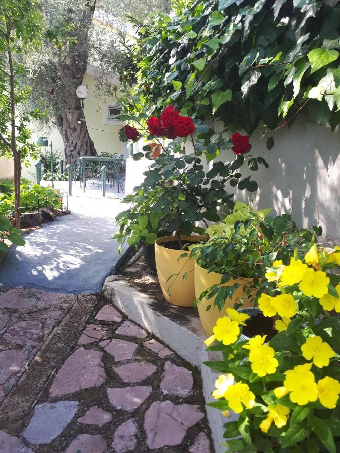 Apartments Simo Petrovac Ngoại thất bức ảnh