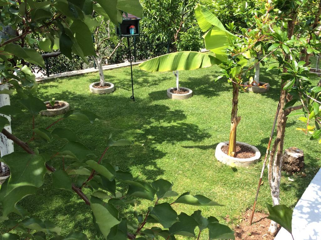 Apartments Simo Petrovac Ngoại thất bức ảnh