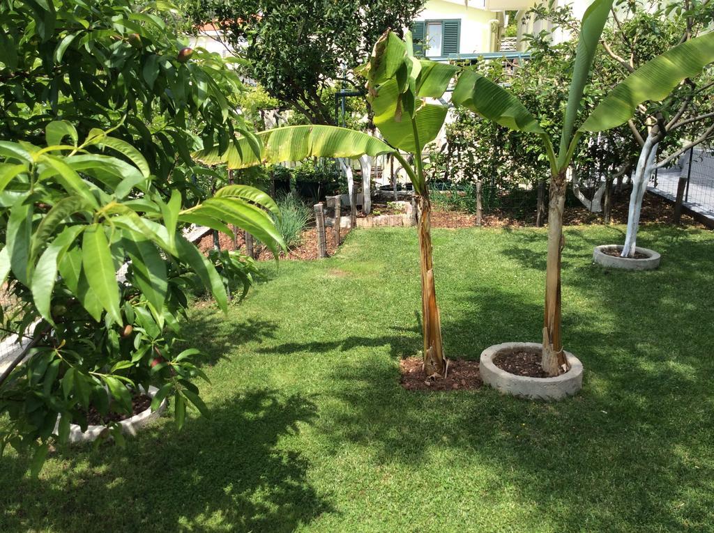 Apartments Simo Petrovac Ngoại thất bức ảnh