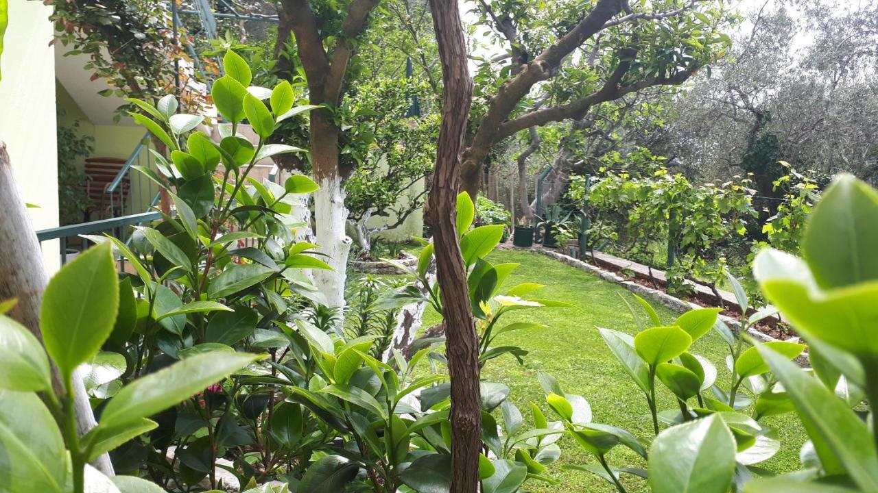 Apartments Simo Petrovac Ngoại thất bức ảnh