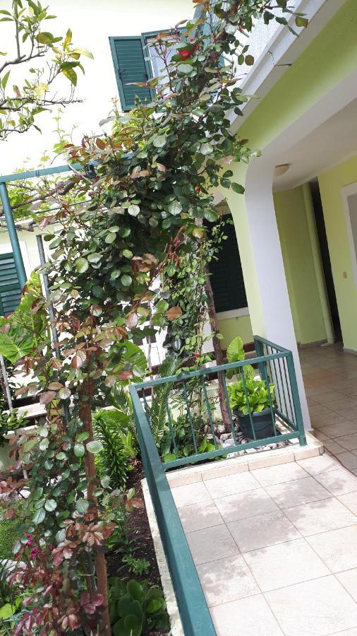 Apartments Simo Petrovac Ngoại thất bức ảnh